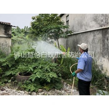 鼎湖社区消灭蚊子工程