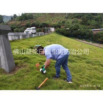 德庆水利工程红火蚁防治