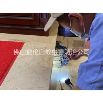 德庆安装诱杀箱监测白蚁工程