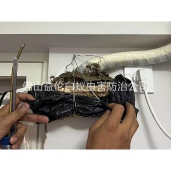 鼎湖房屋白蚁诱杀工程